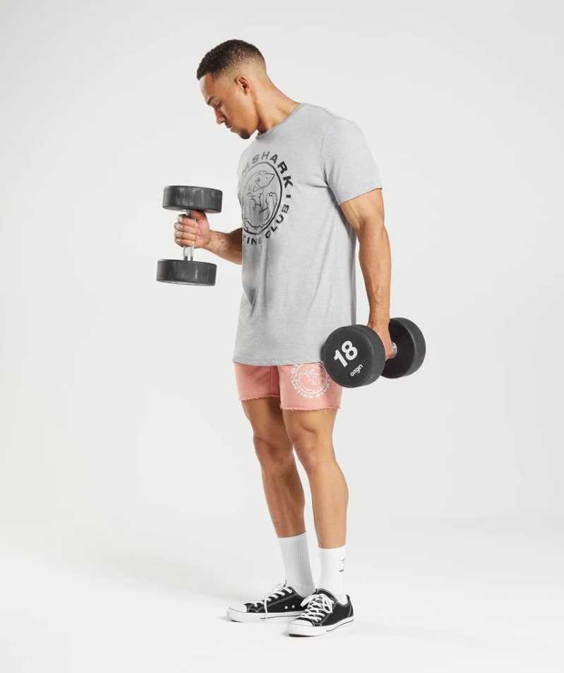 Men's Gymshark Legacy T-Shirts Light Grey | CA N86107